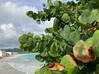 Photo de l'annonce Villa Sacha Beacon Hill Sint Maarten #16
