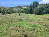 Photo de l'annonce Grand terrain plat constructible Martinique #2