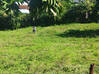 Photo de l'annonce Grand terrain plat constructible Martinique #3