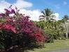 Photo de l'annonce Superbe villa P6 + studio secteur recherché avec piscine et Baie-Mahault Guadeloupe #5