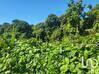 Photo de l'annonce Terrain à bâtir 12 700 m² Sainte-Rose La Réunion #2