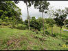 Photo de l'annonce Sainte Luce - Terrain de 2 868,00 m² Sainte-Luce Martinique #2