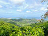 Photo for the classified Land Pic Paradis Paradis Saint Martin #6