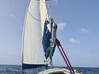 Photo for the classified Seafoam Sailboat 26 feet Saint Martin #2