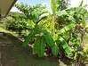 Foto do anúncio Charmante maison plein pied dans un environnement calme et Rémire-Montjoly Guiana Francesa #5