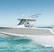 NEW BOSTON WHALER 330 & 290 OUTRAGE 2026
